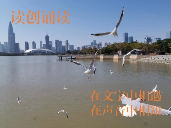 10倍配资可以找谁代注册 读创诵读｜深圳的图书馆照亮了我的创作之路（作者：吴小林）