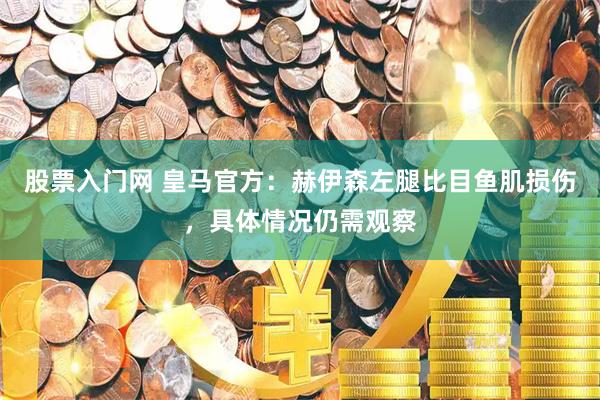 股票入门网 皇马官方：赫伊森左腿比目鱼肌损伤，具体情况仍需观察