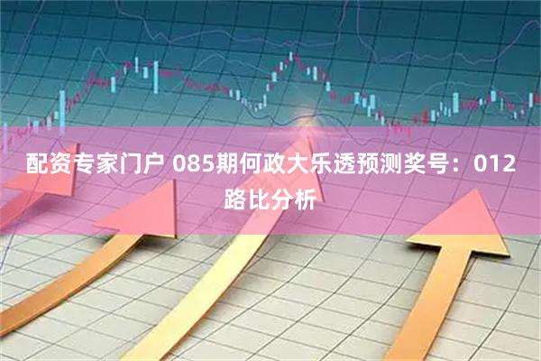 配资专家门户 085期何政大乐透预测奖号：012路比分析